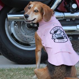 Biker Dawg (Color: pink, size: small)