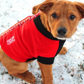 Highline Fleece Coat (Color: Red and Black With Rolling Bones, size: Size 16LC)